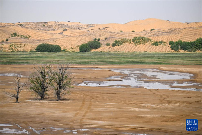 Mongólia Interior: luta contra a desertifica??o está em curso em Dalat Qi