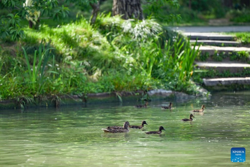 Yangzhou promove turismo cultural no Grande Canal