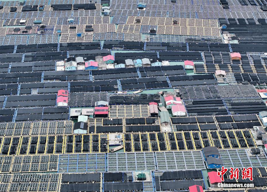 Espetacular vista aérea de 