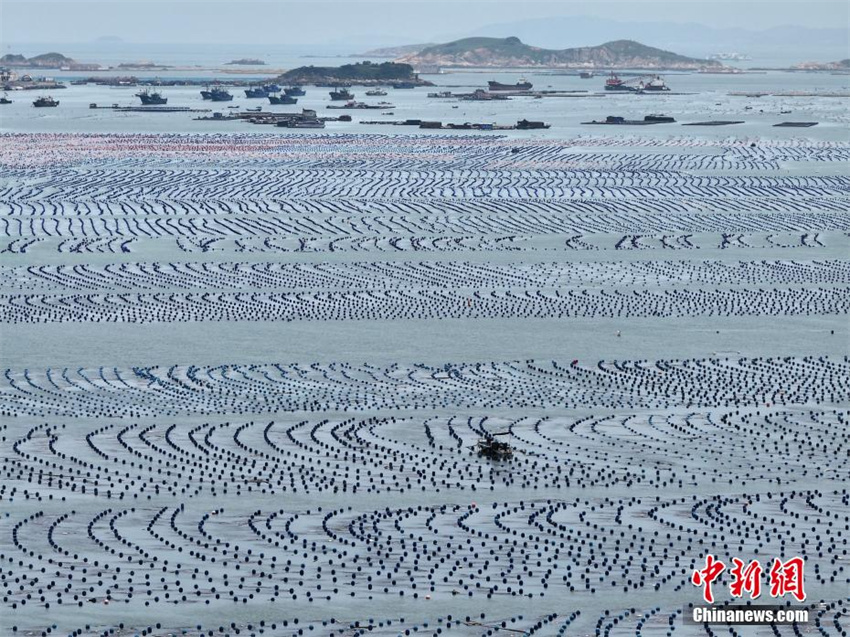 Espetacular vista aérea de 