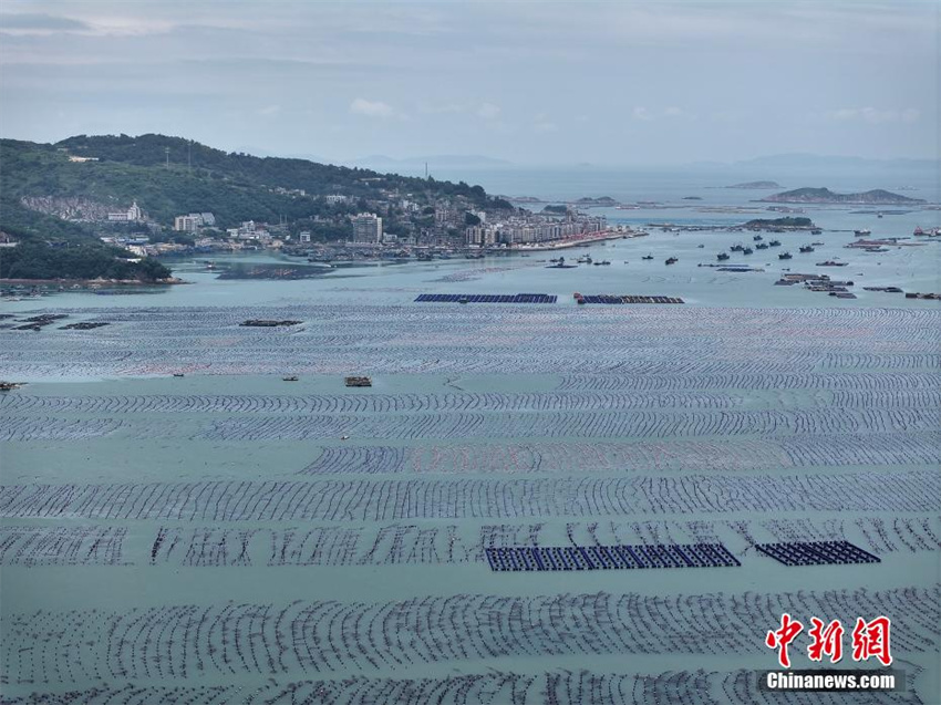 Espetacular vista aérea de 