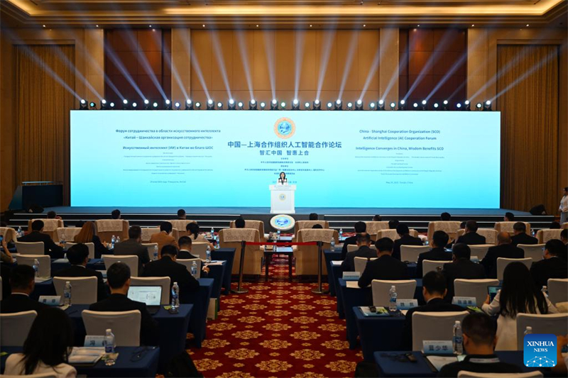 Fórum de Coopera??o em Inteligência Artificial China-OCS é realizado em Tianjin, na China