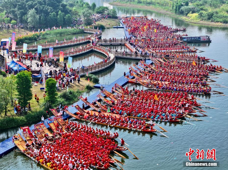 Fujian: 100 barcos-drag?o competem nas águas do rio Mulanxi, em Putian