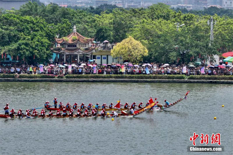 Fujian: 100 barcos-drag?o competem nas águas do rio Mulanxi, em Putian