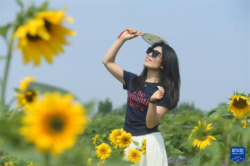 China registra aumento de 10,8% em viagens inter-regionais durante Festival do Barco do Drag?o