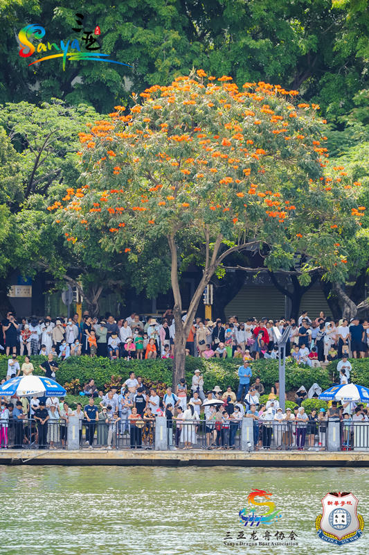 Festival do Barco-Drag?o é repleto de belezas naturais em Sanya
