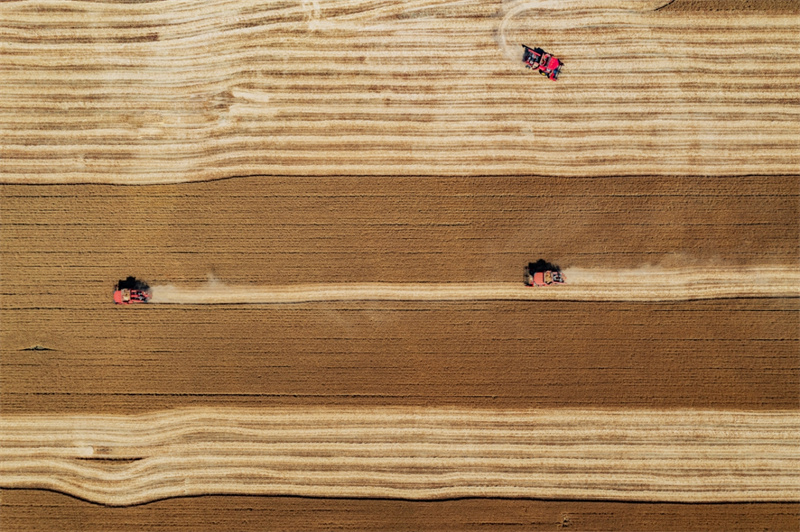Shandong: campos férteis desenham paisagem de fartura em Jining