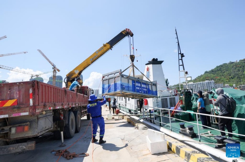 Golfinho encalhado retorna ao mar após cuidados especializados no sul da China