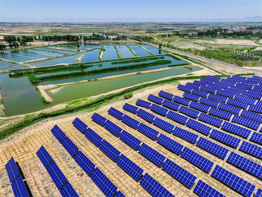 Projetos fotovoltaicos transformam terrenos arenosos em 