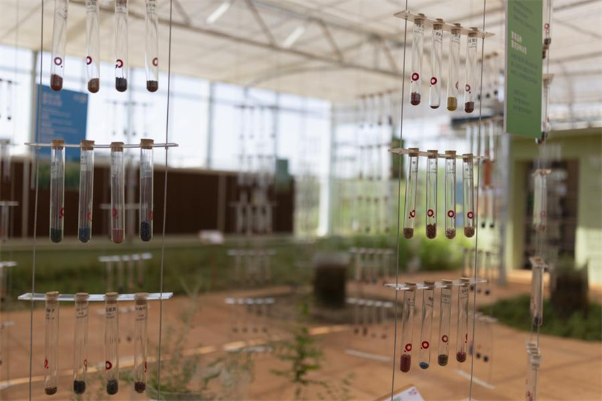 Projetos fotovoltaicos transformam terrenos arenosos em 