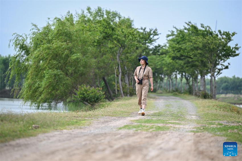 Guardi? do cervo-milu se dedica à busca da harmonia entre a humanidade e a natureza
