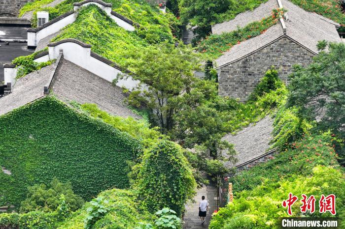 Prédios antigos em Nanjing est?o cobertos de verde
