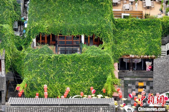 Prédios antigos em Nanjing est?o cobertos de verde