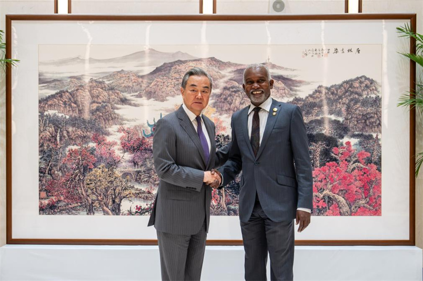 Ministros das Rela??es Exteriores da China e da áfrica prometem la?os mais fortes