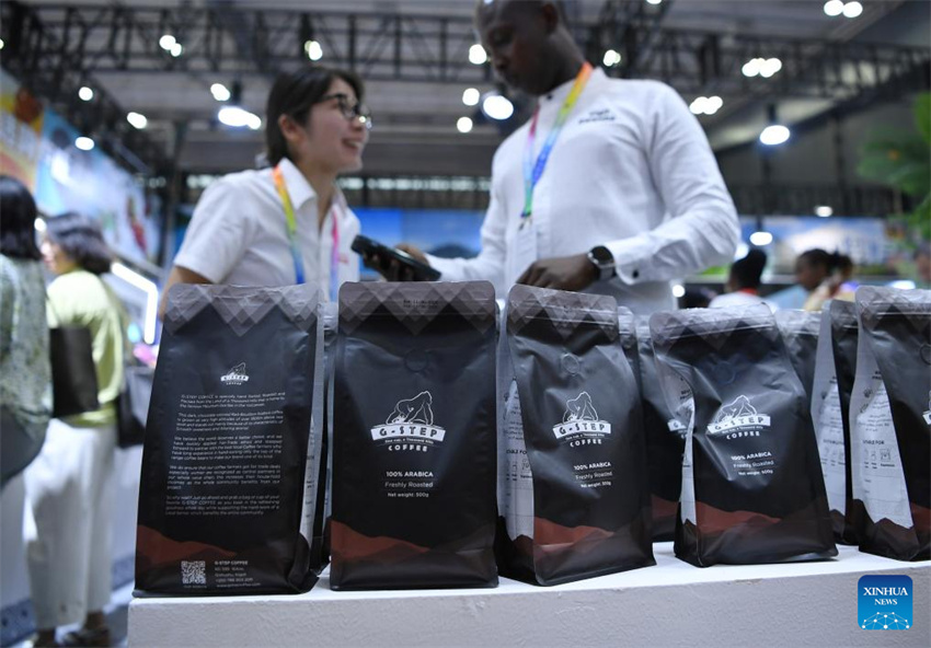 Come?a exposi??o China-áfrica com foco nas rela??es econ?micas e novos acordos