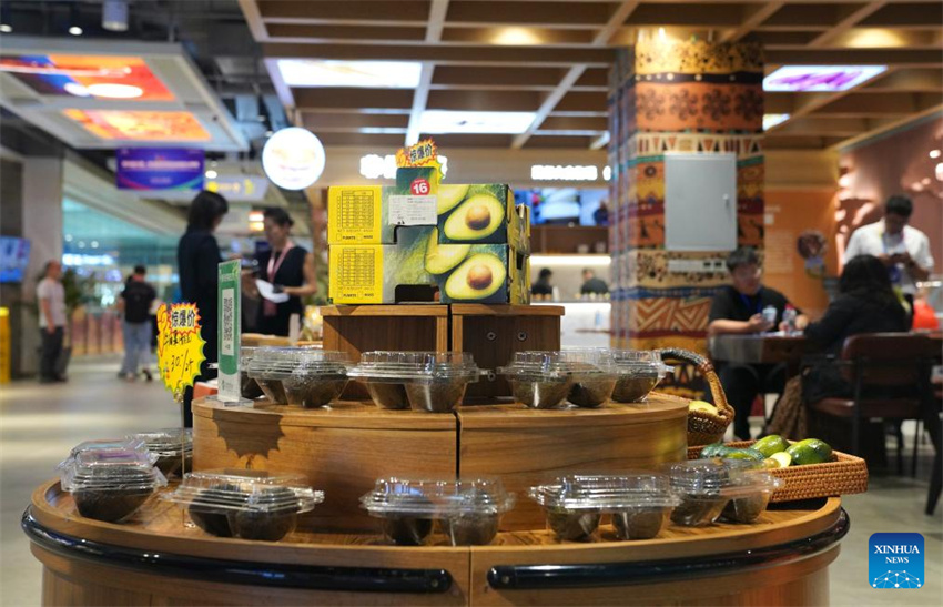 Come?a exposi??o China-áfrica com foco nas rela??es econ?micas e novos acordos