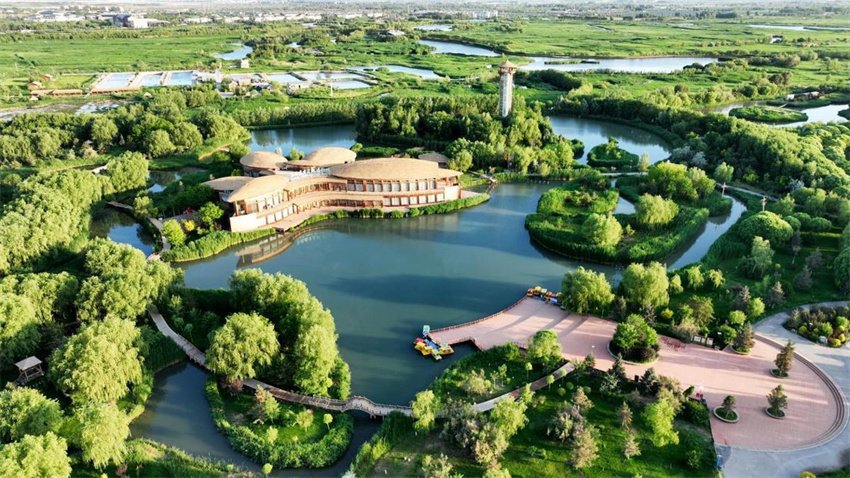 Início do ver?o exuberante no Oásis no deserto de Zhangye, noroeste da China