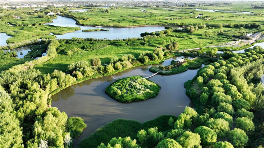 Início do ver?o exuberante no Oásis no deserto de Zhangye, noroeste da China