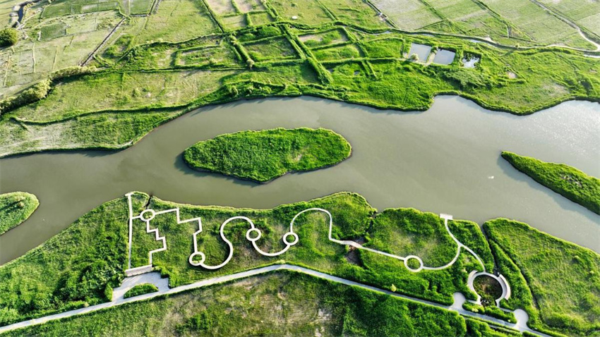 Início do ver?o exuberante no Oásis no deserto de Zhangye, noroeste da China