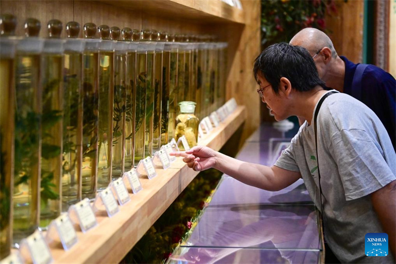 Festival de turismo de lavanda promove desenvolvimento econ?mico em Xinjiang