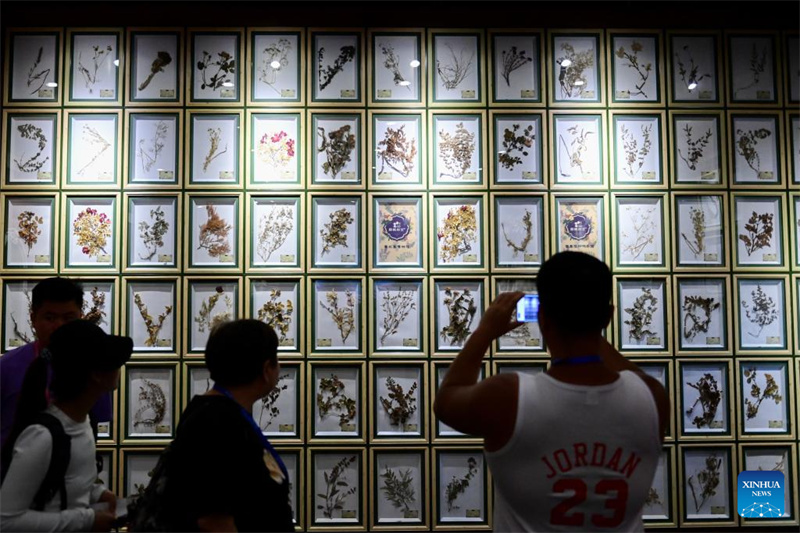 Festival de turismo de lavanda promove desenvolvimento econ?mico em Xinjiang