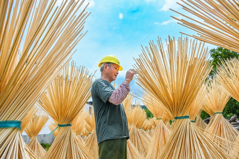 Yingshan aposta no bambu para impulsionar economia verde rural