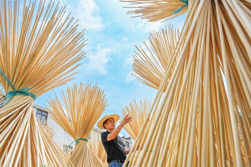 Yingshan aposta no bambu para impulsionar economia verde rural