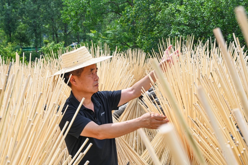 Yingshan aposta no bambu para impulsionar economia verde rural