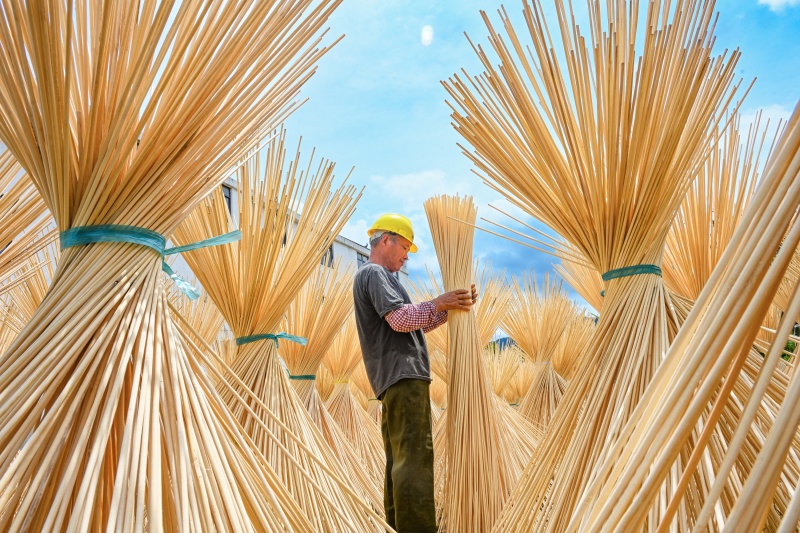 Yingshan aposta no bambu para impulsionar economia verde rural