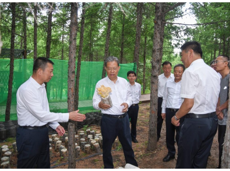 Mais alto legislador da China pede às assembleias populares que promovam desenvolvimento e reforma