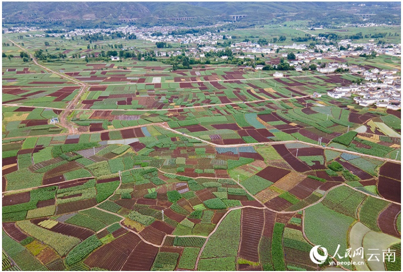 Galeria: paisagens rurais em Jianchuan parecem uma paleta de tintas