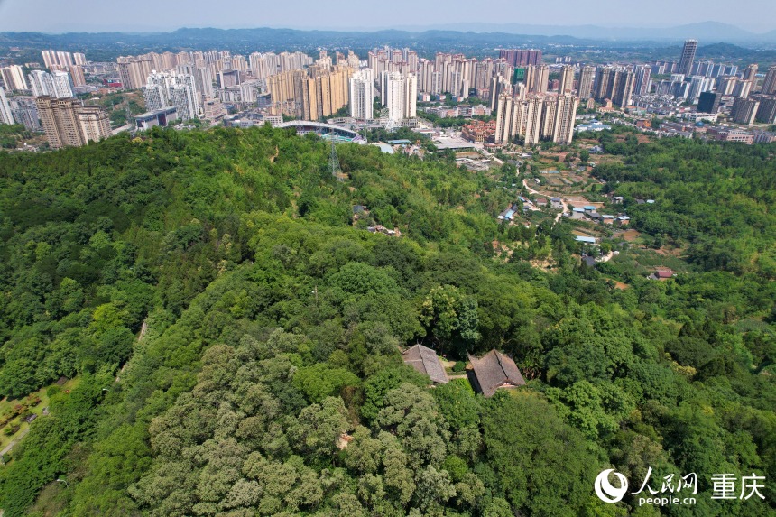 China em Movimento: Patrim?nio Mundial impulsiona a constru??o de uma cidade cultural e turística internacional