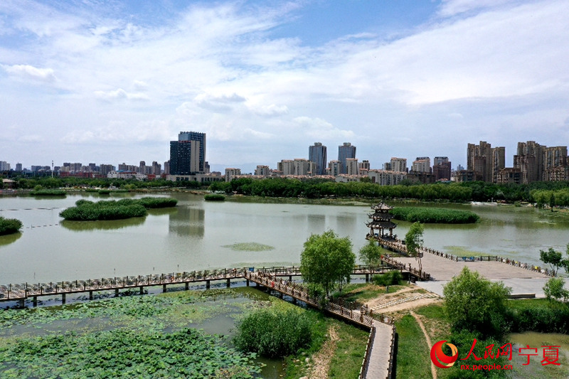 China em movimento: harmonia entre natureza e desenvolvimento em Yinchuan
