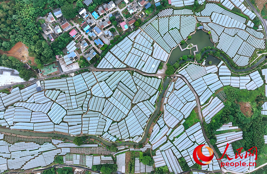 China em Movimento: Oportunidade 