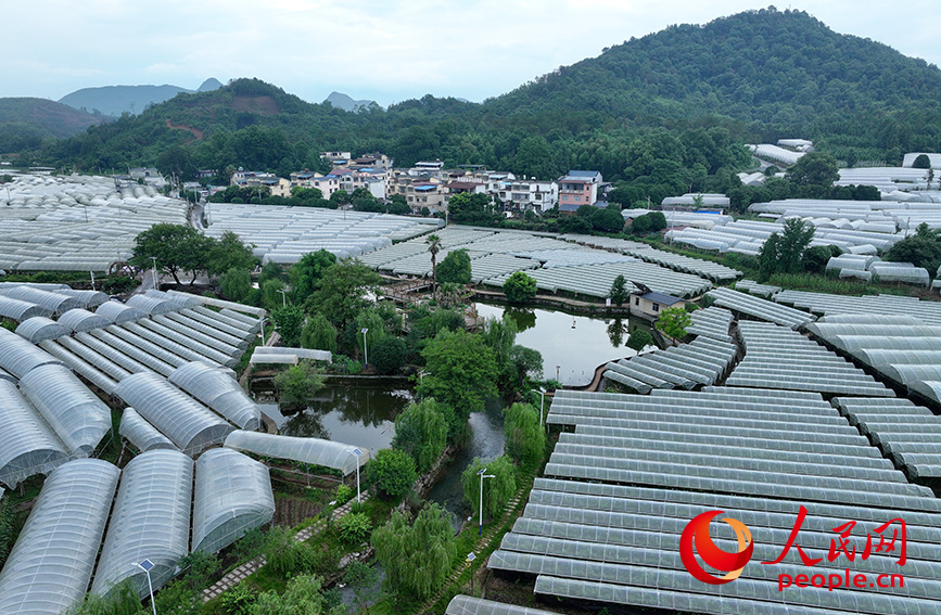 China em Movimento: Oportunidade 