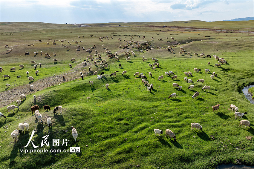 Paisagem deslumbrante do planalto de Bayanbulak em Xinjiang