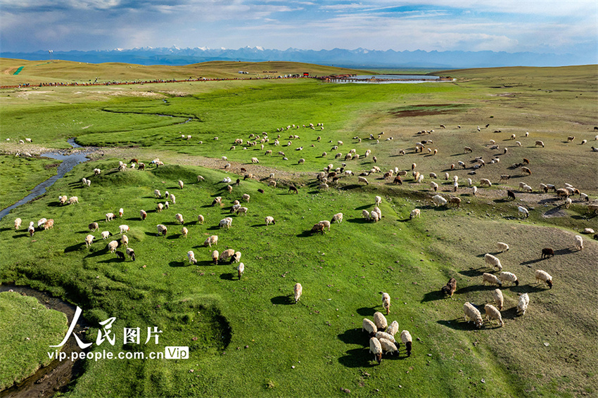 Paisagem deslumbrante do planalto de Bayanbulak em Xinjiang
