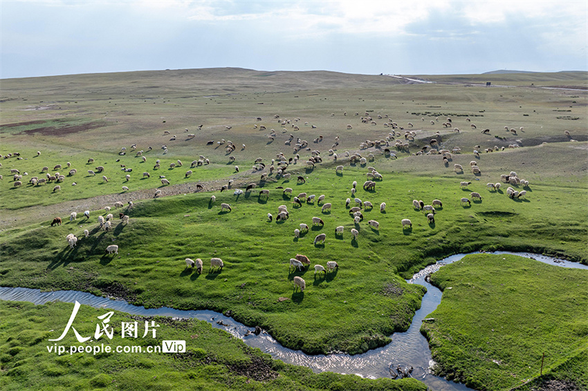 Paisagem deslumbrante do planalto de Bayanbulak em Xinjiang