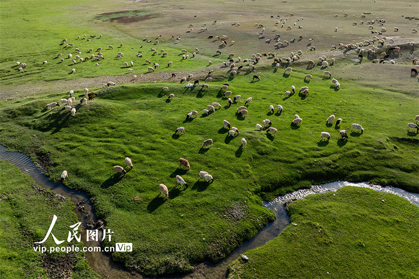 Paisagem deslumbrante do planalto de Bayanbulak em Xinjiang