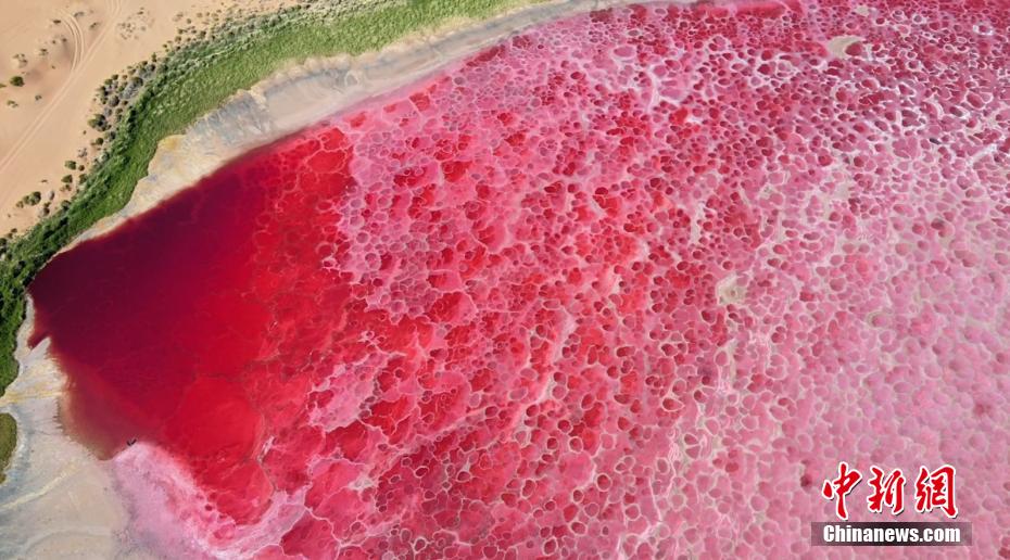 Lagoas cor-de-rosa surpreendem no deserto de Badain Jaran, norte da China