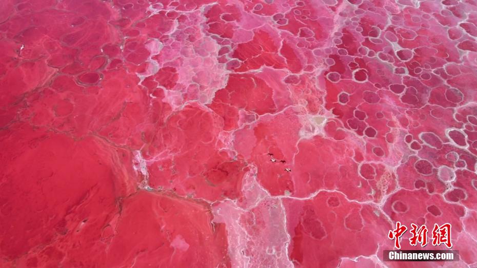 Lagoas cor-de-rosa surpreendem no deserto de Badain Jaran, norte da China