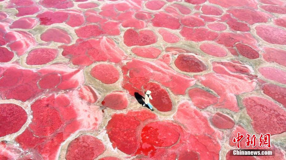 Lagoas cor-de-rosa surpreendem no deserto de Badain Jaran, norte da China