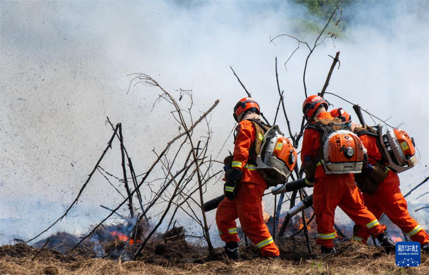 Exercício de combate a incêndios florestais “Miss?o de Emergência 2025