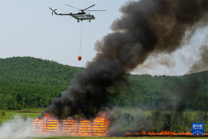 Exercício de combate a incêndios florestais “Miss?o de Emergência 2025