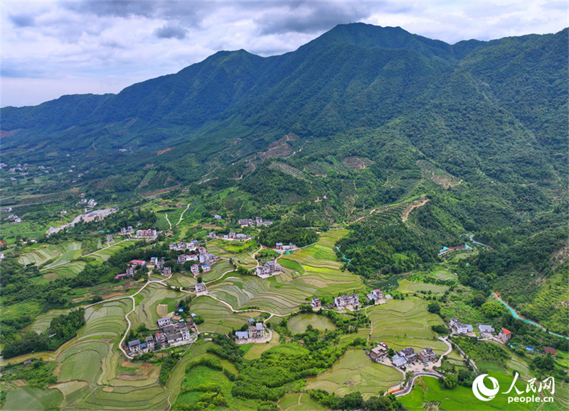 Belos terra?os verdes em Jiangxi, sul da China