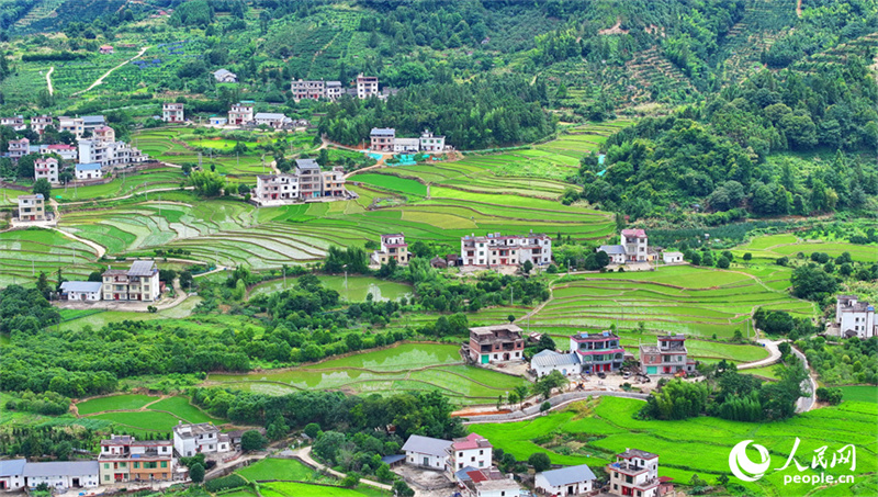 Belos terra?os verdes em Jiangxi, sul da China
