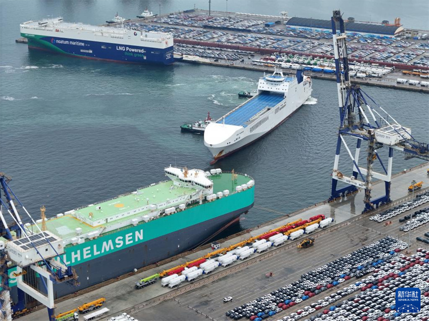 Shandong: porto de Yantai vê movimenta??o de veículos de exporta??o