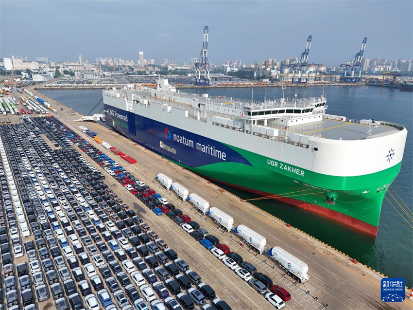 Shandong: porto de Yantai vê movimenta??o de veículos de exporta??o