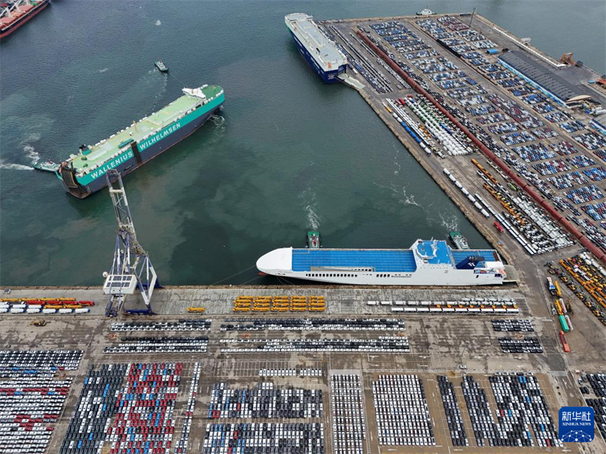 Shandong: porto de Yantai vê movimenta??o de veículos de exporta??o