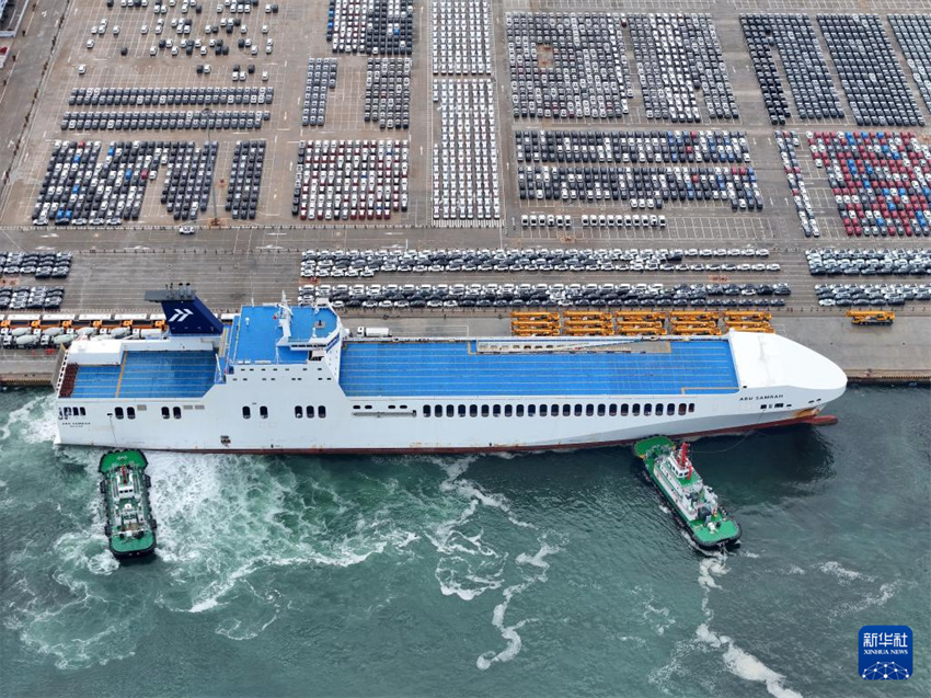 Shandong: porto de Yantai vê movimenta??o de veículos de exporta??o